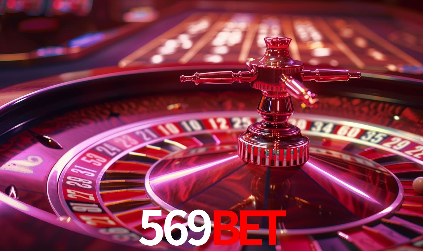 Bônus Diários 569BET